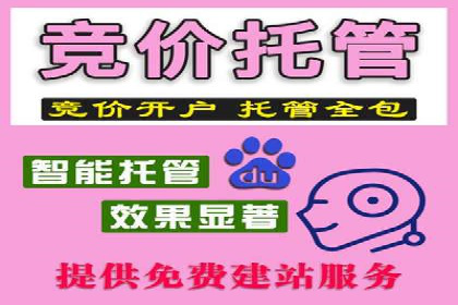 案例分析：信息流代理在社交媒体的运用
